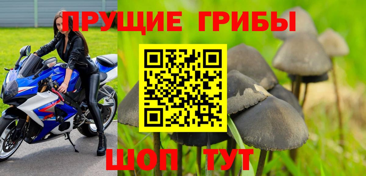 цены наркотик  Вход с VPN  Когалым  Псилоцибиновые грибы Magic Shrooms 